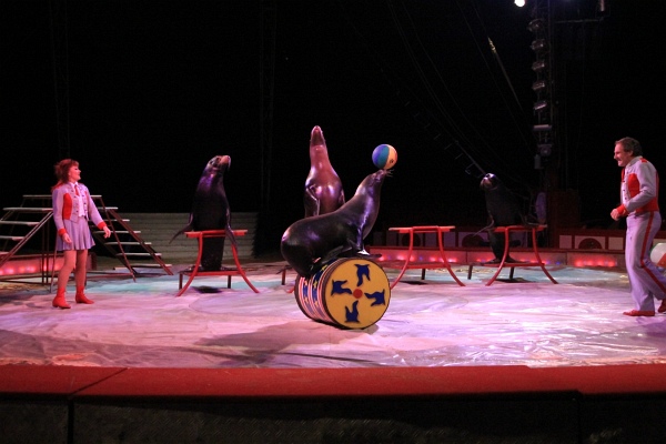 Krone2011   158.jpg